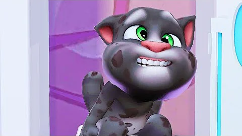 Video 11900261: feeding cat funny, talking tom live, funniest cats