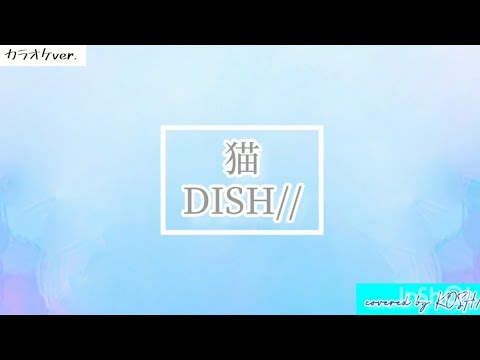 猫 / DISH//【歌ってみた】カラオケver. 歌詞付き covered by KOSH/