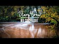 Seyan - Feeling Fall (NO COPYRIGHT MUSIC)