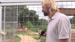 Joe Exotic TV  Tiger Attacks Skippy's Hose and Erik Cowie Is About To Explode!