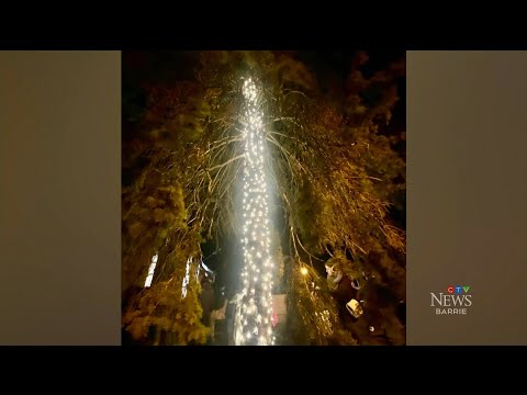 An annual tree lighting in Orillia, Ontario that fell flat goes viral