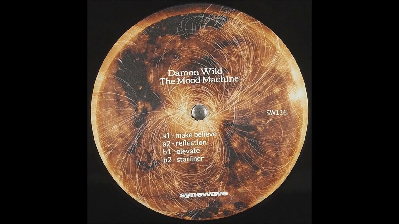 Wild Damon (NY) Synewave | Wild Damon | Time In Somewhere 11作　レコード 洋楽