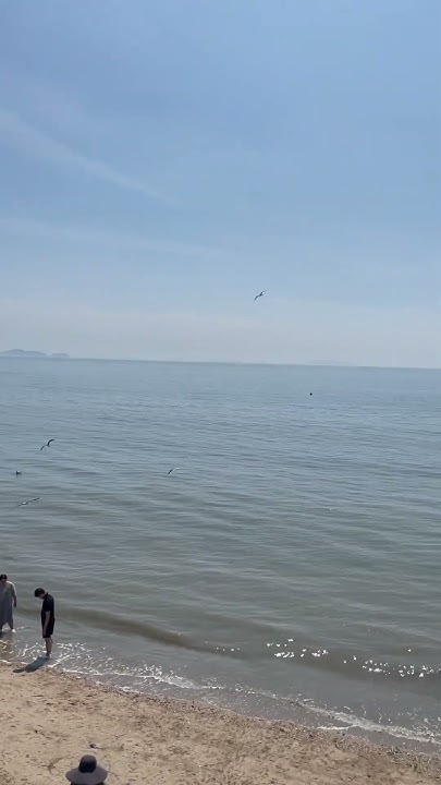 Остров Чебудо Ю.Корея 2023 #морекорея#море#островкореи#южнаякорея - YouTube