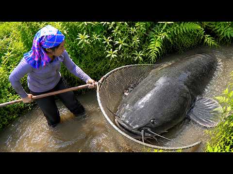 A bountiful catch: Catching 150kg+ wild catfish, carp & tilapia to sell at the market with family