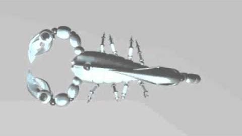 Scorpion walking test