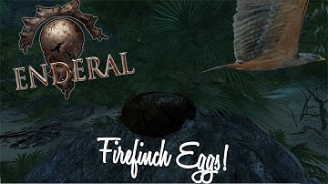 TESV / Skyrim: ENDERAL - Firefinch Eggs (The Biggest Egg Hunt Ever Quest)