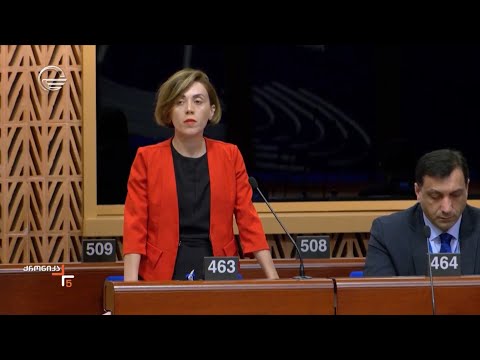 „ნაცმოძრაობის“ მიერ საქართველოს წინააღმდეგ მოთხოვნა და რეზოლუციაში შესატანი შესწორება, ჩავარდა