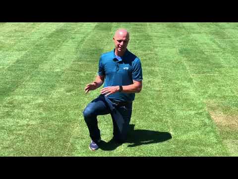 Watering Your New Sod Lawn