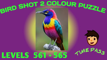 Bird sort 2 colour puzzle 🐦level 561-565#birdsortcolorpuzzle#birdshort #birdpuzzle #puzzlegame