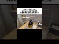 ディズニー行くなら知らないとマジで損する恐竜「ロボット」が接客してくれるホテルを見つけてしまった…