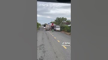 chúc cô dâu chú rể bằng kèn basuri #suhuong #xetaitiktok #kenongvang