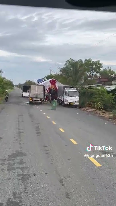 chúc cô dâu chú rể bằng kèn basuri #suhuong #xetaitiktok #kenongvang