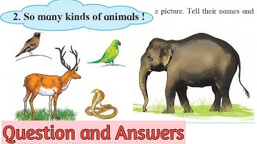 3rd EVS lesson 2. So many kinds of animals. Question and Answers.