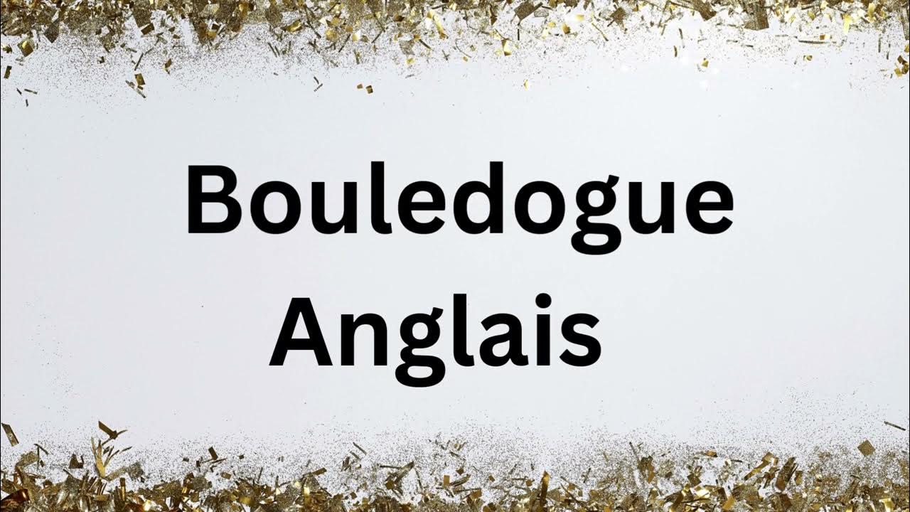 🇫🇷 How to Say Bulldog in French YouTube