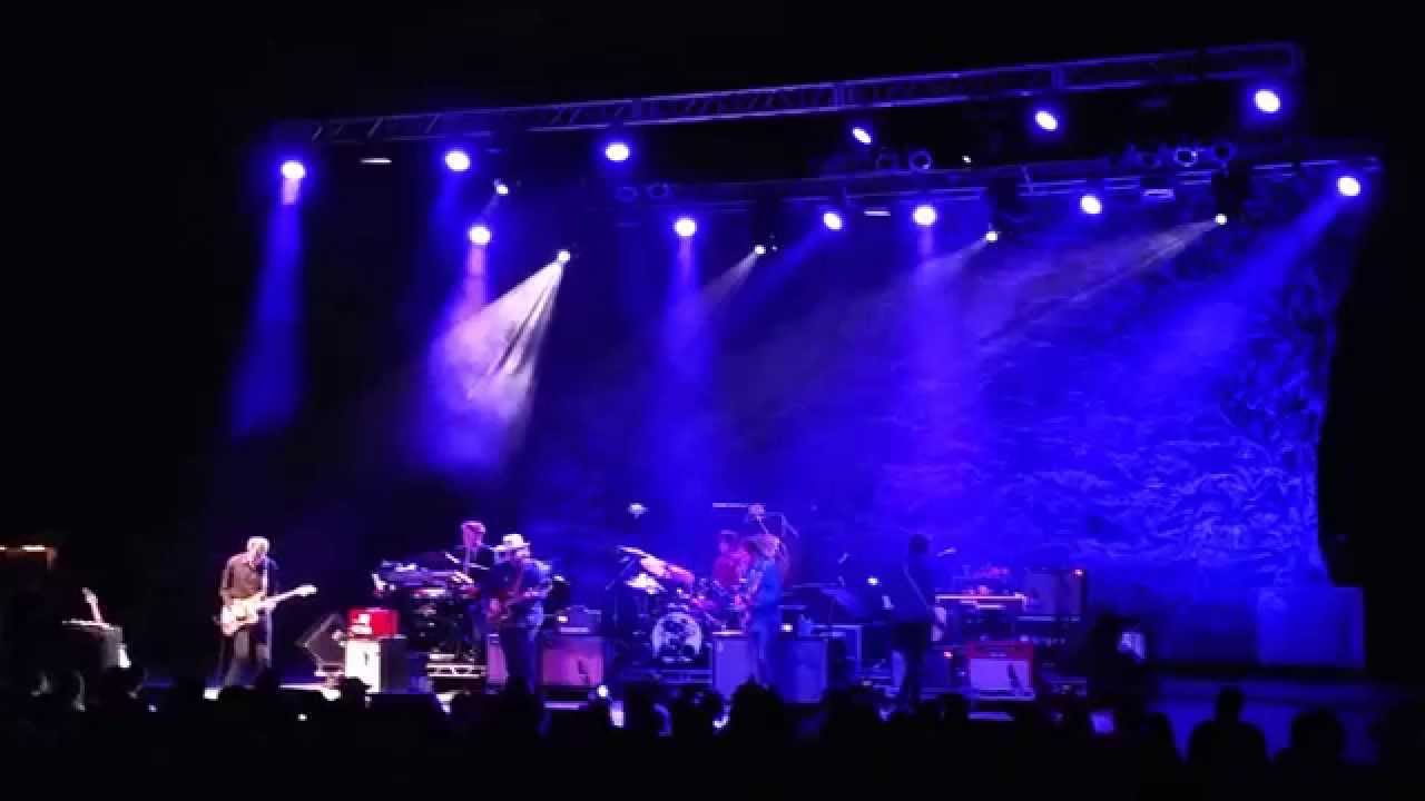 camera iphone 8 plus apk Allman - Wilco Concert - May 2015 - St Augustine - Nels Solo