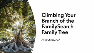 Climbing Your Branch of the FamilySearch Family Tree