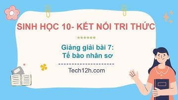 Giảng bài 7: Tế bào nhân sơ | Bài giảng Sinh học 10 Kết nối tri thức
