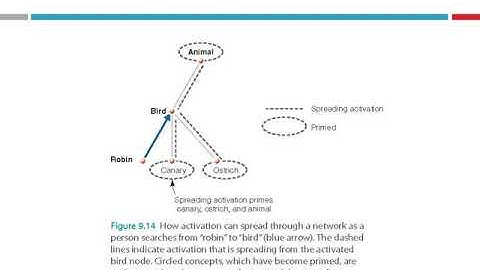 Module 4B Semantic Activation Approach to Categorization