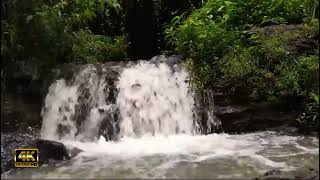 the sound of fast flowing water with natural views - the sound of water for therapy #watersounds
