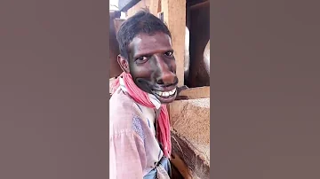 Ghoda Ki Awaaz Comedy Video Shorts Ytshorts 
