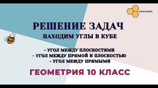 :   (   )