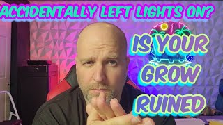 Light Leak will DESTROY Your Garden