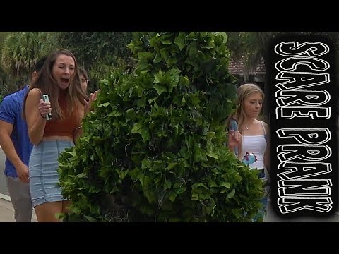 new!!-bushman-scare-prank-in-gainesville-florida-gators-football-game-#3-#scareprank-#ellendegeneres