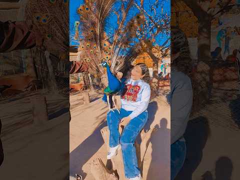 روحت حديقه الحيوانات تاني يوم العيد
