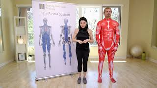 Fascia & forward posture by Life 360 Summit 1,814 views 10 months ago 2 minutes, 21 seconds