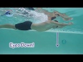 Learn to swim  breaststroke part 1
