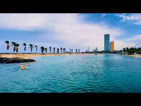 ASMR | Open Air Coastal Calm | Relaxing Gentle Waves and Pure Tropical Ambience