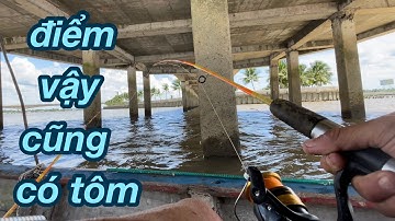 Một Ngày Đi Câu Tôm câu Cá Của Thương Vlog @Xuanthuong91