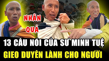 13 CÂU NÓI của SƯ THẦY MINH TUỆ: Nghe để NGHIỆP DỮ HÓA LÀNH, TIÊU TAN PHIỀN KHỔ | Học Phật