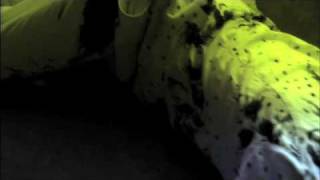 CSI: Miami - Season Finale Extended Preview CSI: Miami - Season Finale Extended Preview