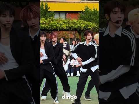 우리 학교 운동장에서 무대하는 아이돌 실존?! #딩고어택 #넥스지 #NEXZ