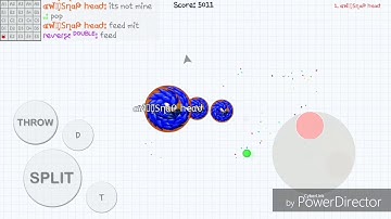 BLOB | MACRO POP KING??????!!??!