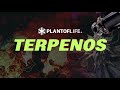  terpenos  plant of life