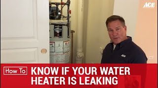 How To Know When Your Water Heater Is Leaking - Ace Hardware