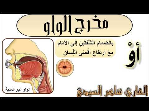 مخرج الواو غير المدية