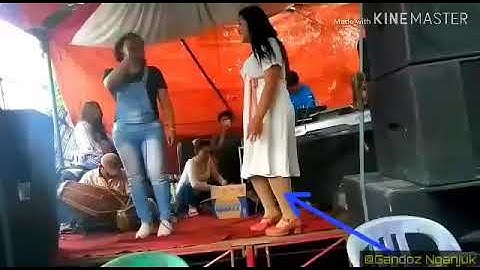 Video lucu, Celana dalam penyanyi melorot saat manggung
