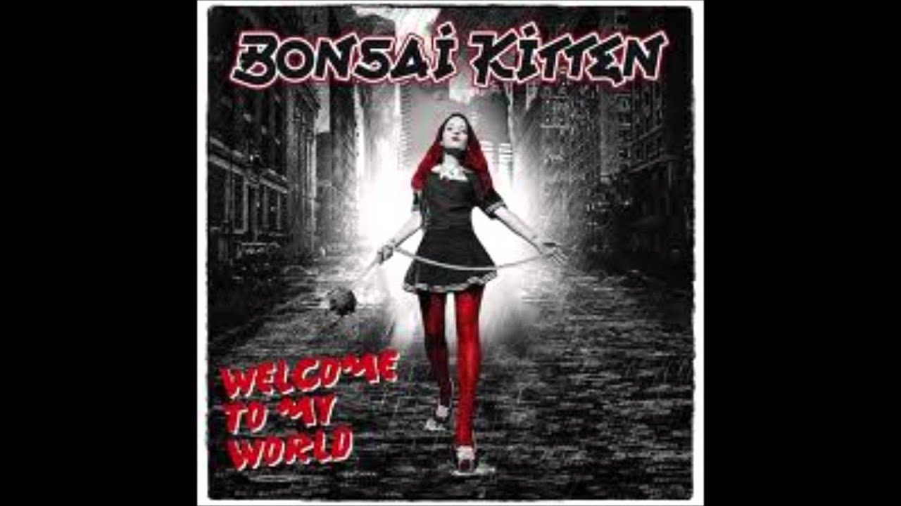 Bonsai Kitten To My World YouTube