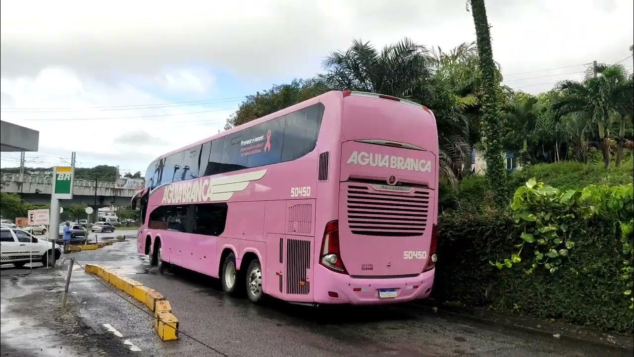movimentação 05 terminal rodoviário de salvador