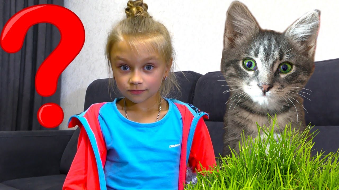 Ест ли кот траву? Подарки для Котенка и новый блохастый питомец | Видео для детей