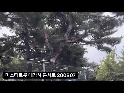 비가와도 트롯둥이 보러!! 대국민 감사콘서트로!!