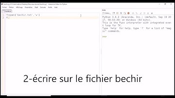 remplir un fichier txt a partir pyzo