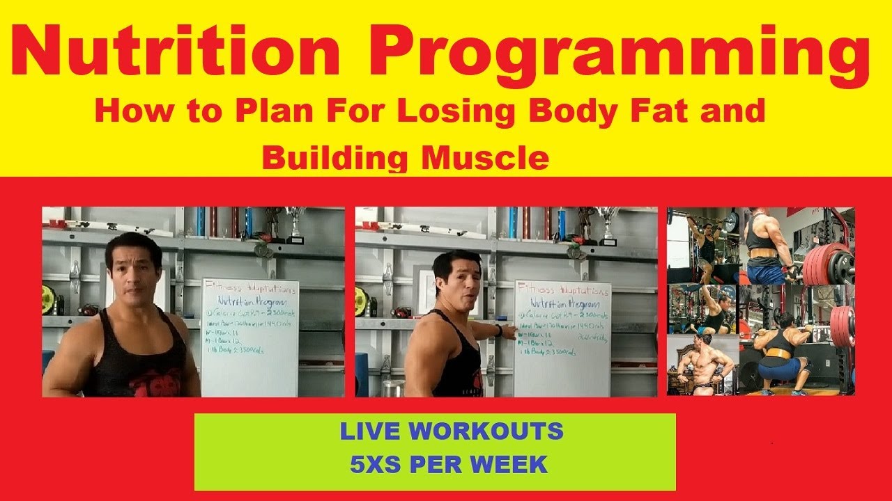 Nutrition Programming - How to Plan For Losing Body Fat and Building ...