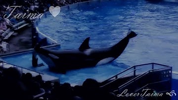 Safe and Sound- Full Mep