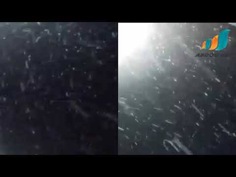مباشر من ولاية سعيدة ثلوج متواصلة مراسلنا محمد الامين 02 01 2021