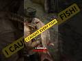 I Caught a 46 Pound Fish in #rdr2 #reddeadredemption2 #gaming