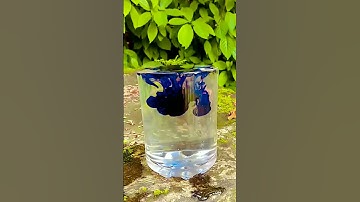 ujala vs.salt water| easy science experiments#shorts #greencraftbox videos